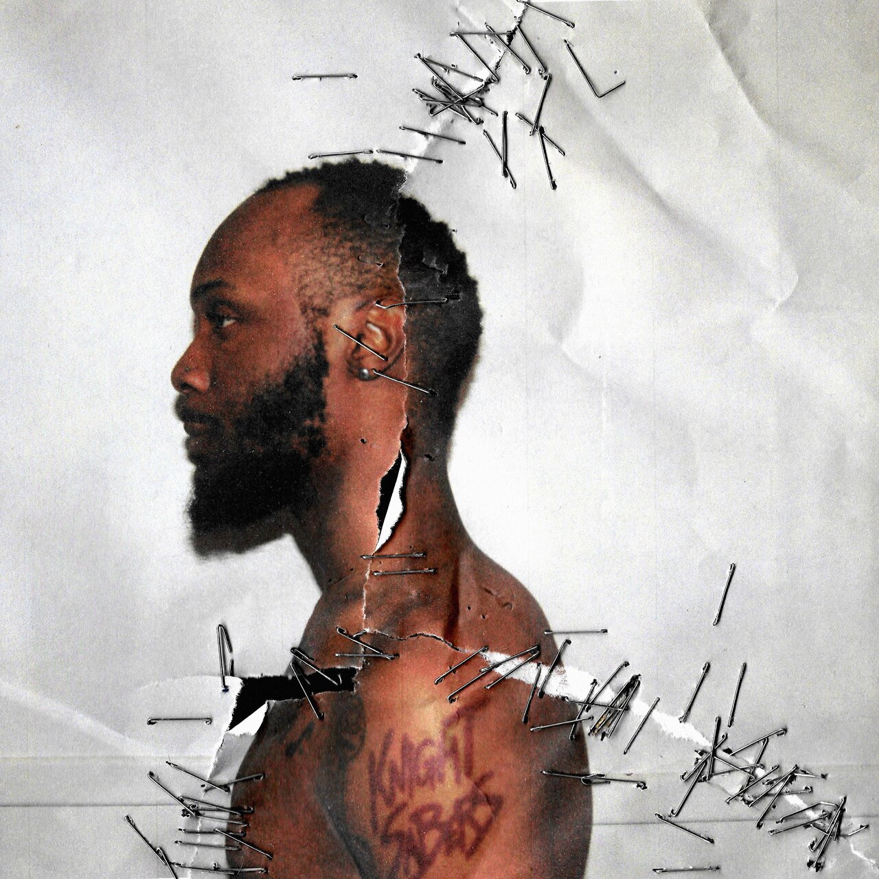 新品未開封 JPEGMAFIA Black Ben Carson レコード Black Ben Carson / JPEGMAFIA - TIDAL