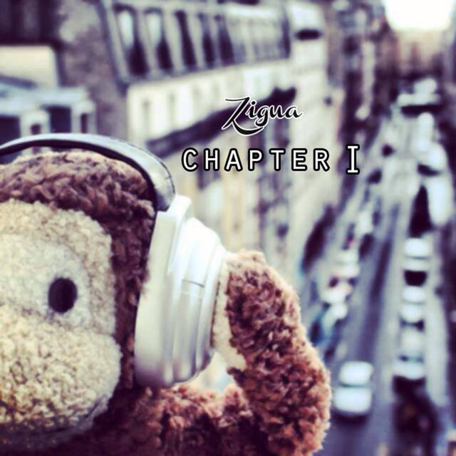 Chapter I