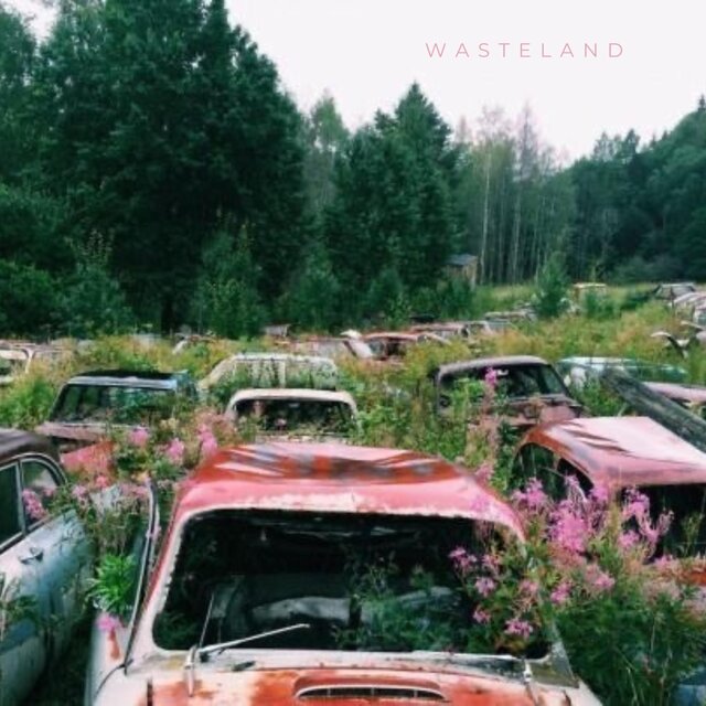 Wasteland