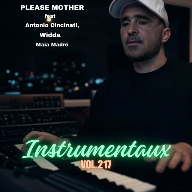 instrumentaux vol.217
