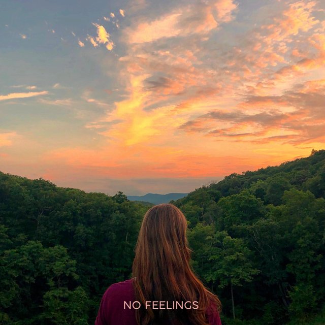 No Feelings