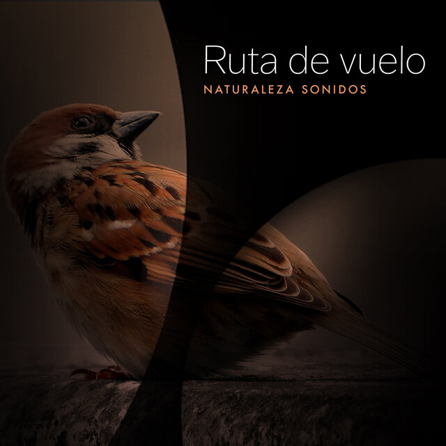 Ruta de vuelo