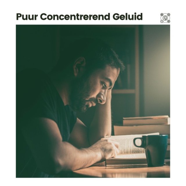 Puur Concentrerend Geluid