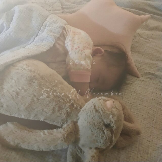 Sleep Of November