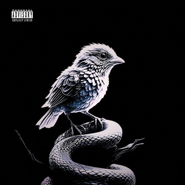BIRDS DON'T SING, THEY SCREECH IN PAIN (SECRETLY)