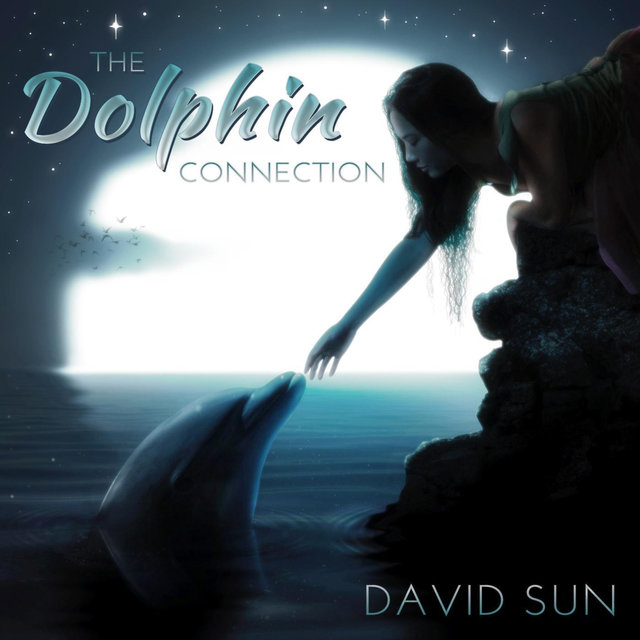 The Dolphin Connection