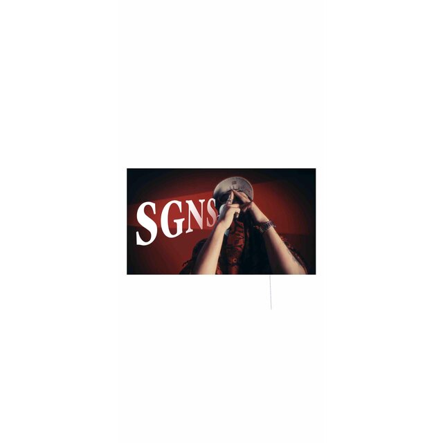 SGNS