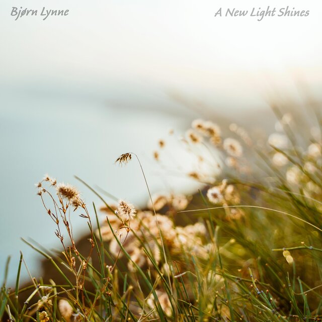 A New Light Shines