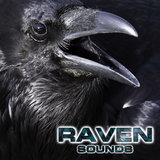Raven Animal Sounds (feat. National Geographic Nature Sounds, National Geographic Soundscapes, White Noise Ambience, Soothing Sounds & Relaxing Nature Sound)