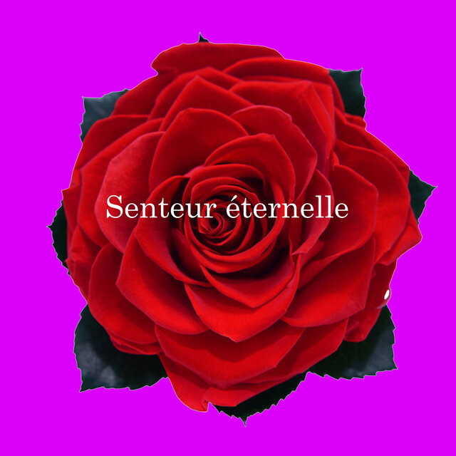 Senteur éternelle