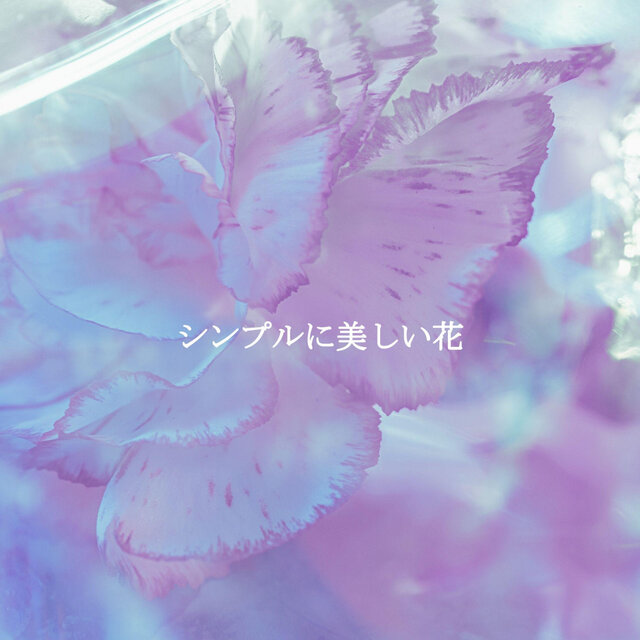 シンプルに美しい花