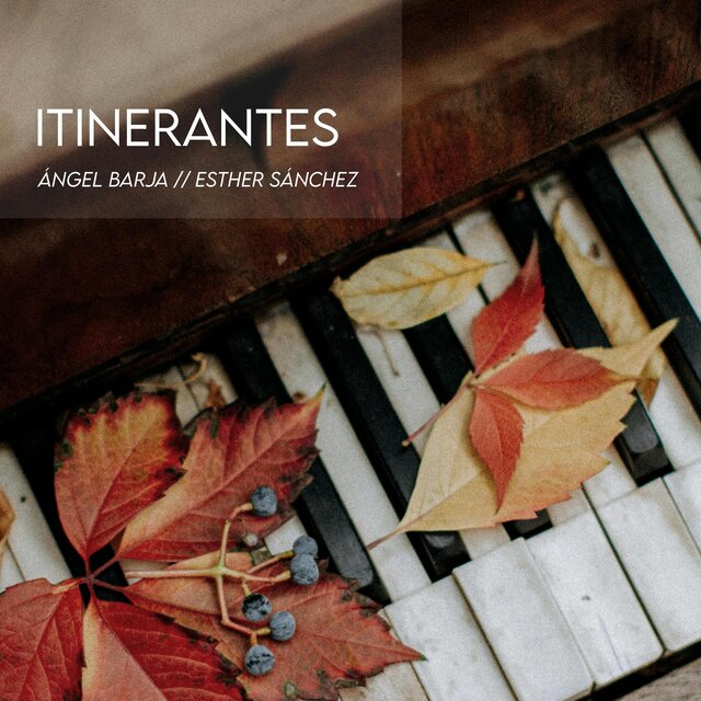Itinerantes