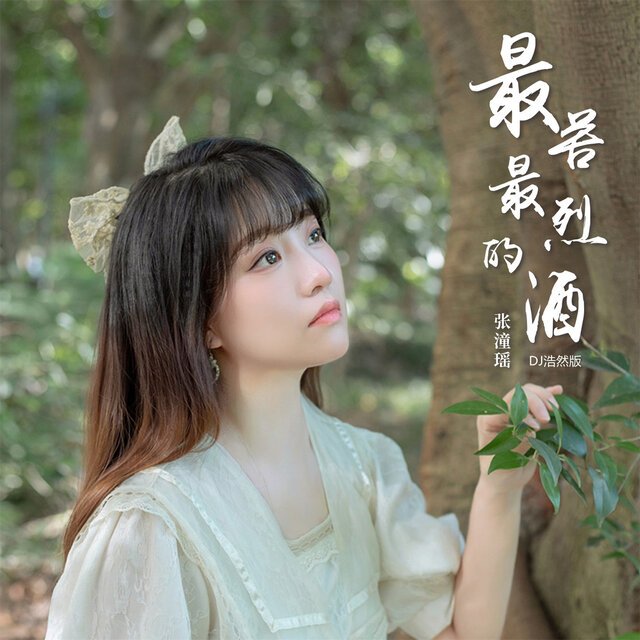 最苦最烈的酒 (Dj浩然版)