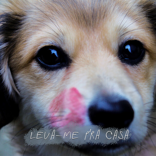 Leva-me P'ra Casa
