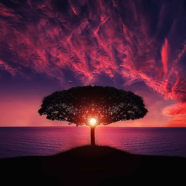 Fragments at Dawn