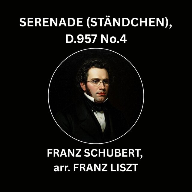 Serenade, D.957 No. 4