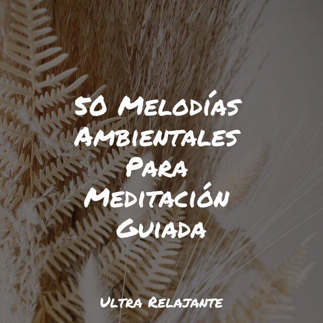 50 Melodías Ambientales Para Meditación Guiada