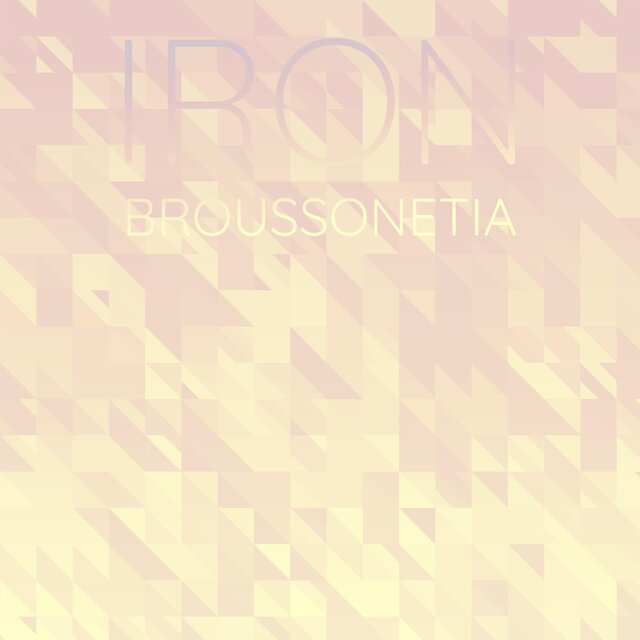 Iron Broussonetia