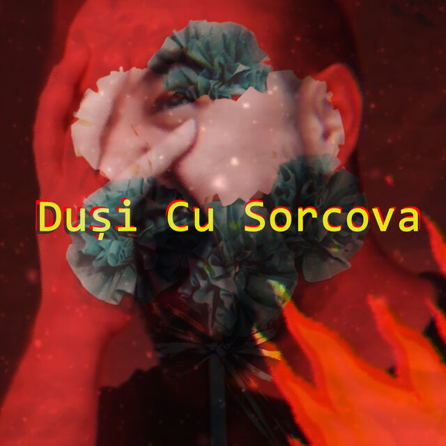 Duşi cu sorcova