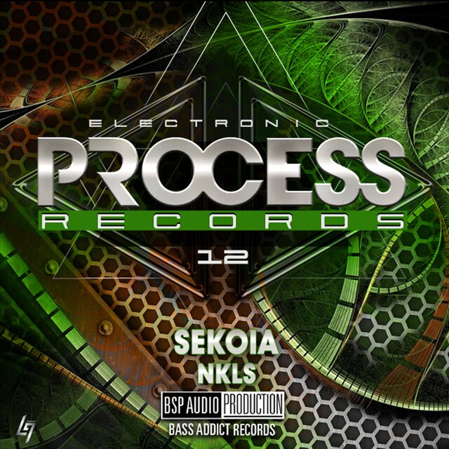 Electronic Process Records 12