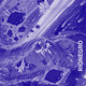 Cover art for album RIONEGRO by Rionegro