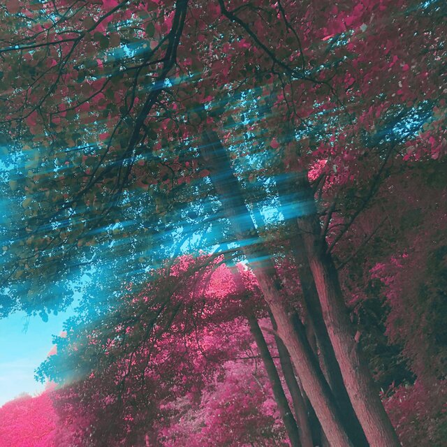 heaventone