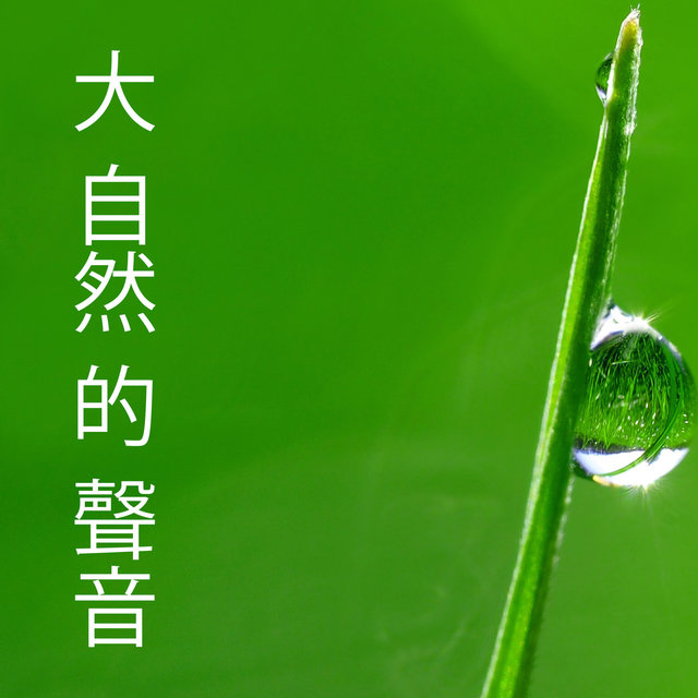 大 自然 的 聲音 - 流水 的 声音, 海浪 聲 音樂, 心靈 音樂 森林 音樂