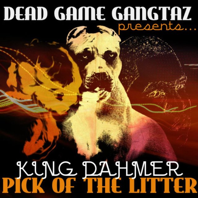 Pick of the Litter