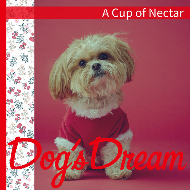 A Cup of Nectar