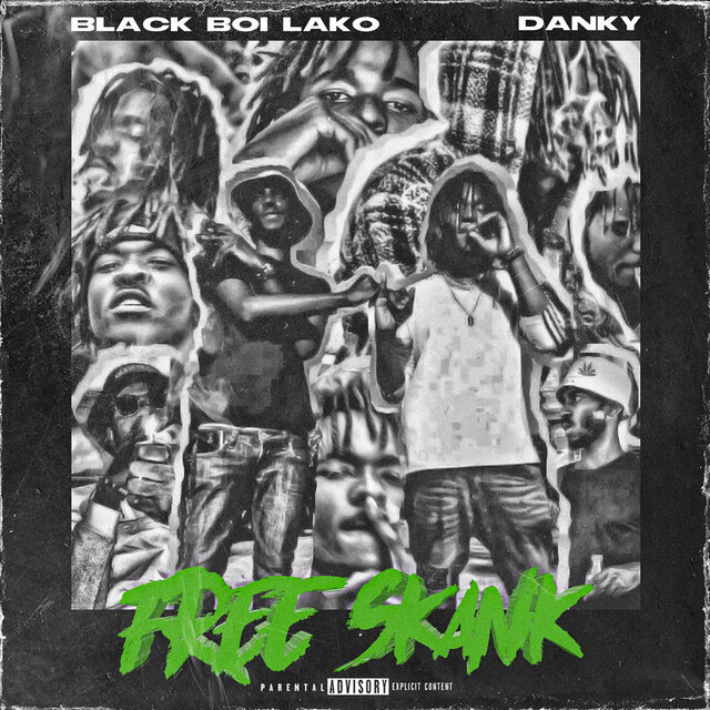 Free Skank