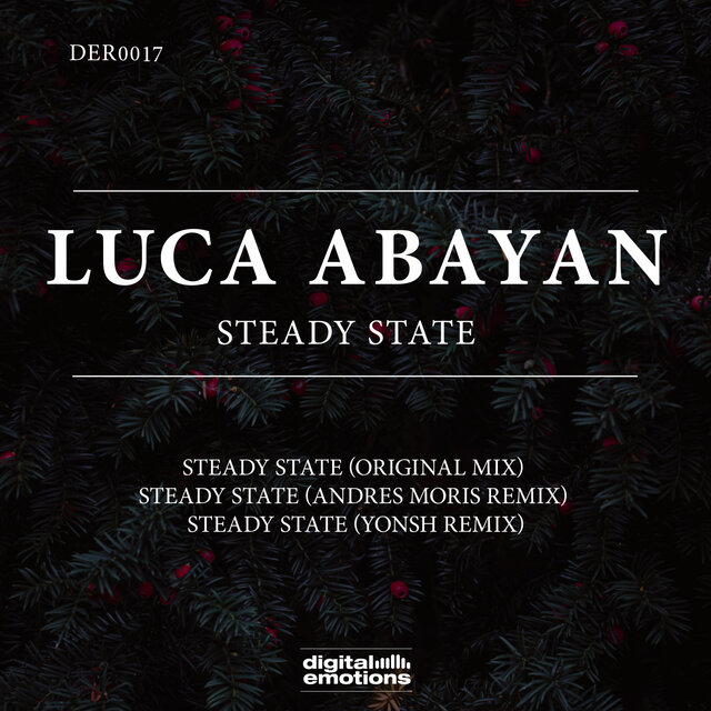Steady State