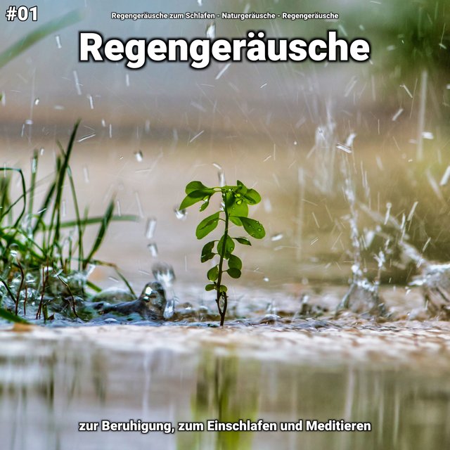 #01 Regengeräusche zur Beruhigung, zum Einschlafen und Meditieren