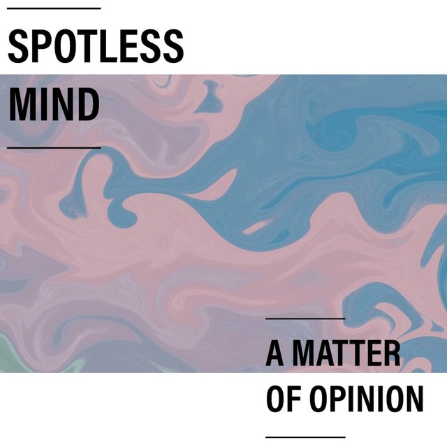 A Matter Of Opinion