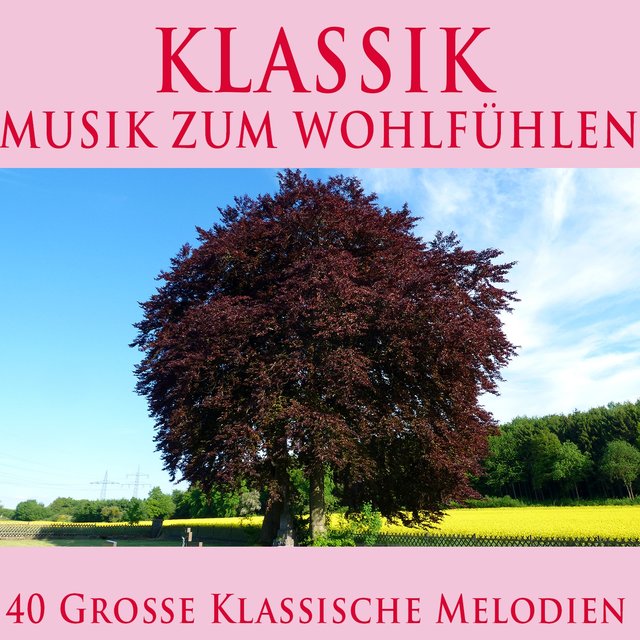Klassik - Musik zum wohlfühlen (40 große klassische melodien)