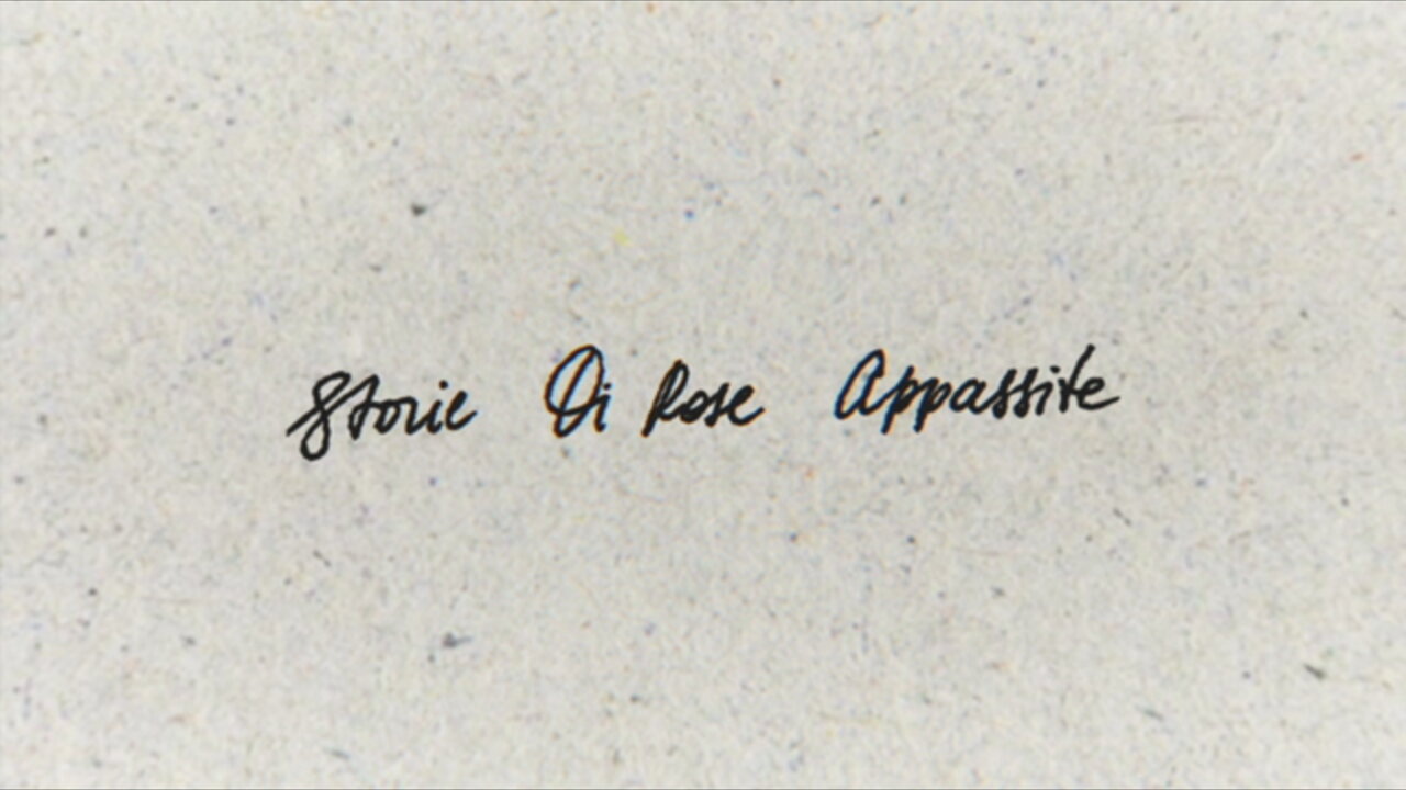 STORIE DI ROSE APPASSITE (Lyric Video)