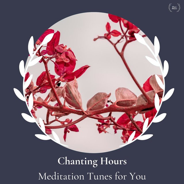 Chanting Hours - Meditation Tunes For You