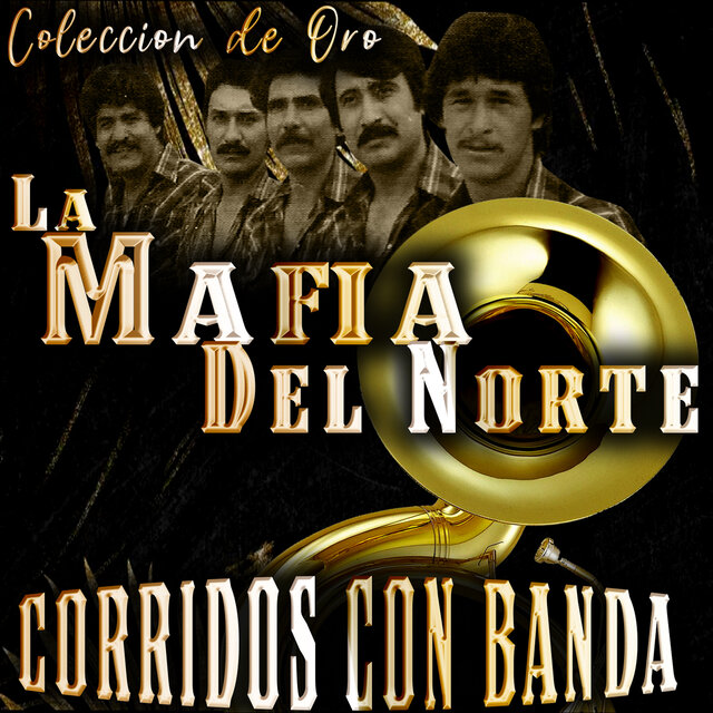 Coleccion de Oro Corridos Con Banda