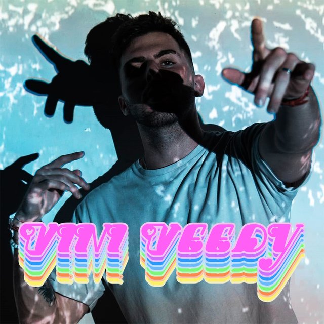 Vini Veedy