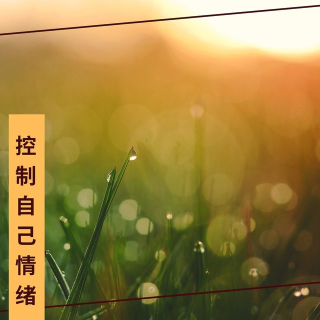 控制自己情绪 - 安静的音乐为了放松，冥想和享受生活