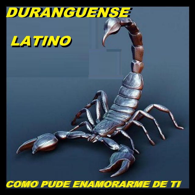 Como Pude Enamorarme De Ti