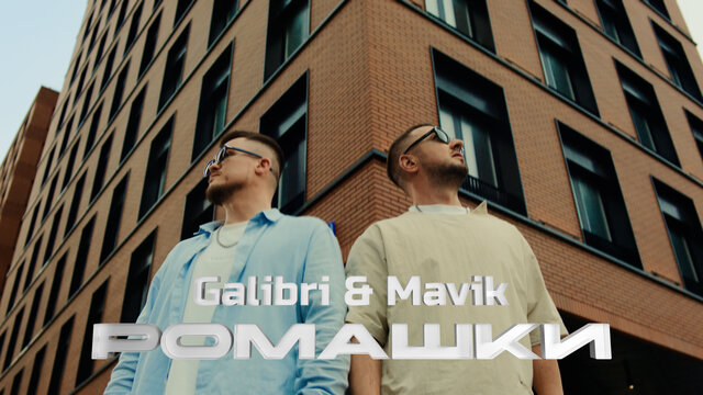 Ромашки