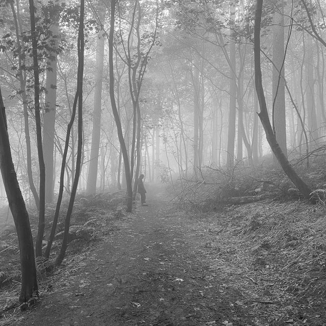 People As Places As People (feat. Robert Vaughan & Neil Kingsbury)