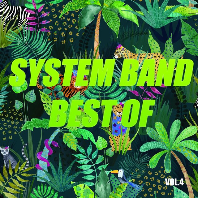 Best of system band (Vol.4)