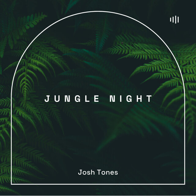 Jungle Night