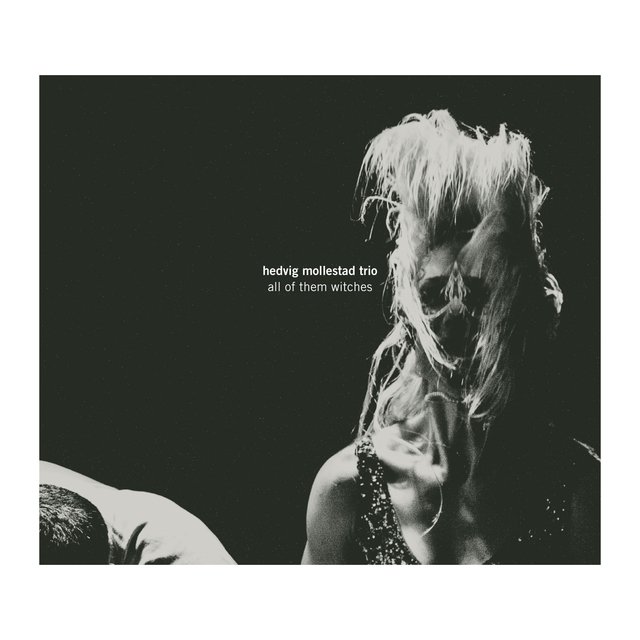 All of Them Witches