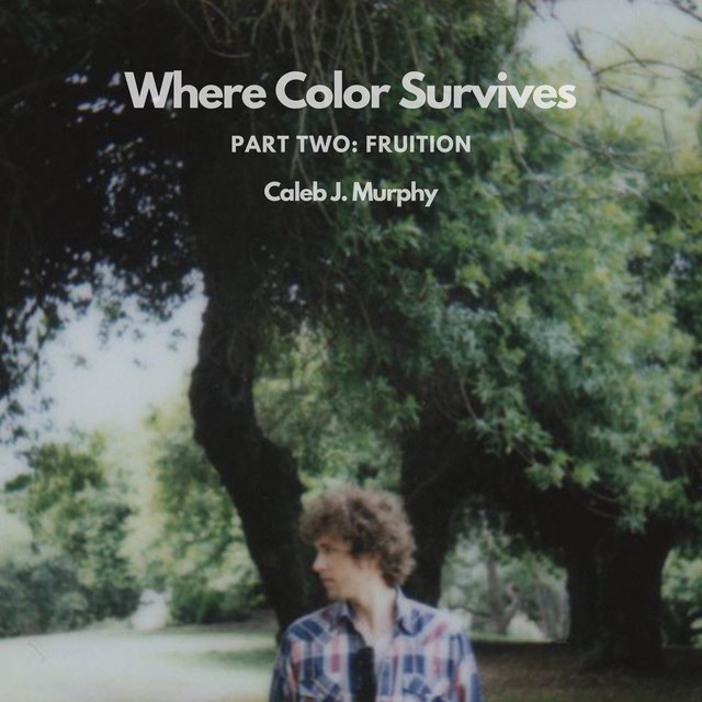 Where Color Survives, Part Two: Fruition