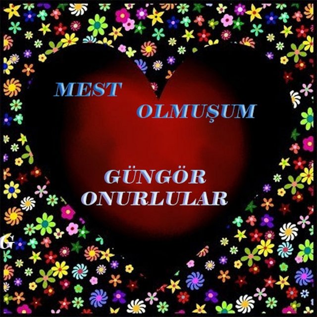 Mest Olmuşum
