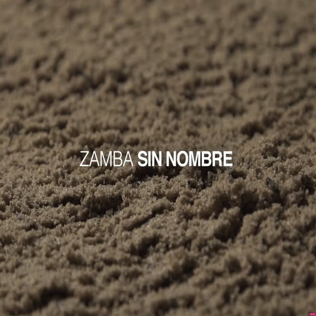 Zamba sin nombre