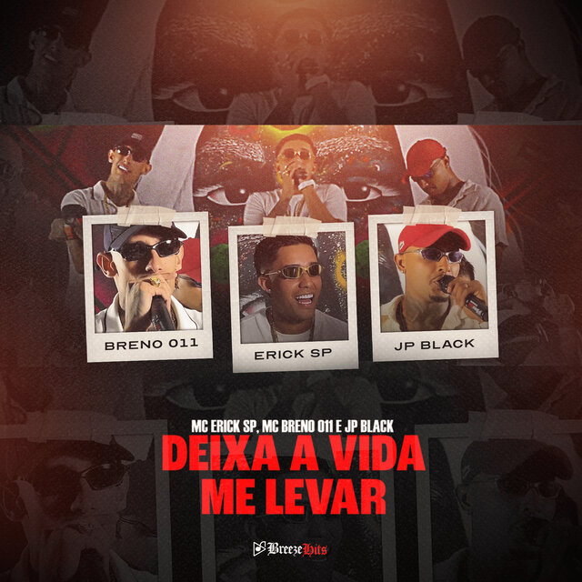 Deixa a Vida Me Levar