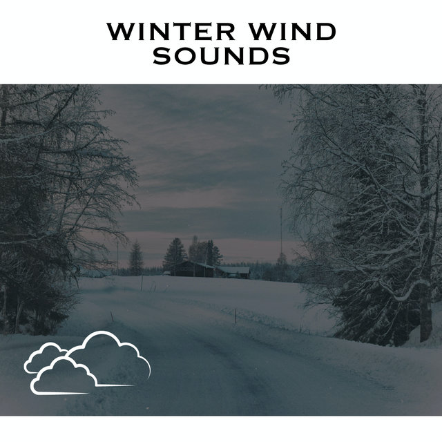 Winter Wind Sounds